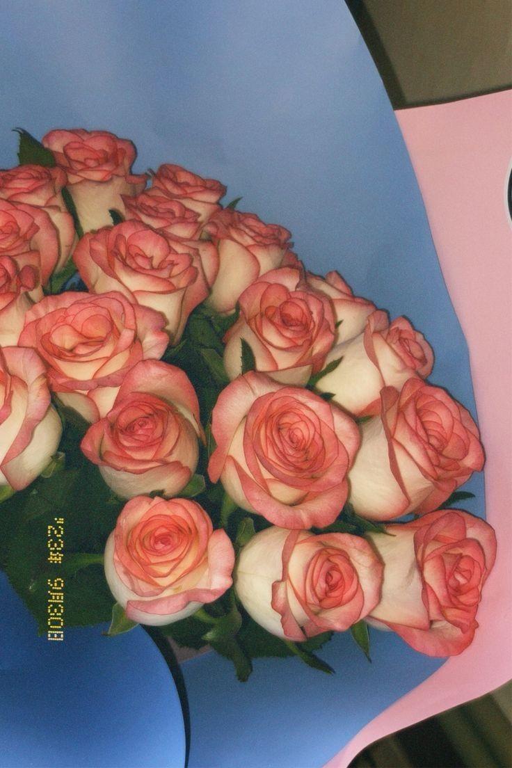 Celestial Whispers Pastel Posy Medley